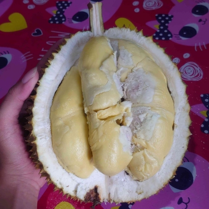 Mahasiswa KKN UNDIP Mengajak Masyarakat Memanfaatkan Limbah Durian menjadi Alternatif Pakan Ternak
