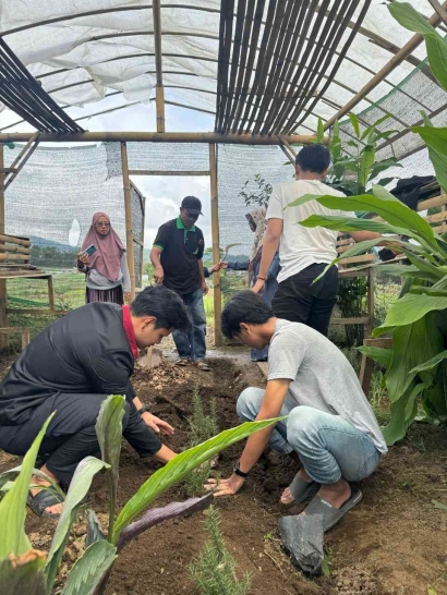 Pulihkan Nafas Bumi dari Langkah Kecil: Kisah Hijau Revitalisasi Greenhouse dan TOGA oleh Mahasiswa PMM UMM di Desa Tawangsari