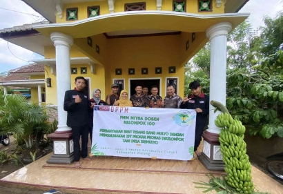 Kelompok 100 Universitas Muhammadiyah Malang Perbanyakan Bibit Pisang Sang Mulyo dengan Menggunakan ZPT Prokar dan Pronas