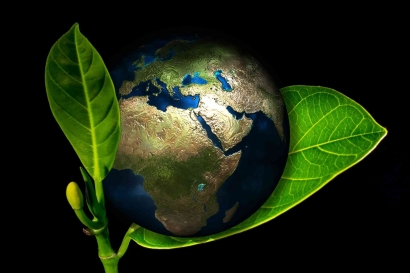 Politik Lingkungan: Memahami Konflik antara Konservasi Alam dan Pembangunan ekonomi