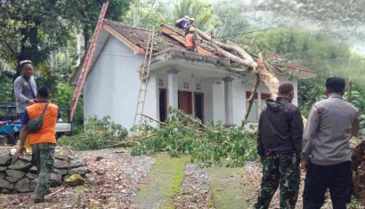 Solidaritas Tiga Pilar Desa Watuagung dalam Menanggulangi Dampak Pohon Tumbang