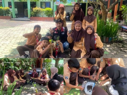 Budidaya Tanaman Kangkung oleh Kelompok PMM UMM 40 dengan Melibatkan Siswa Siswi SDN 02 Tunggulwulung, Kota Malang