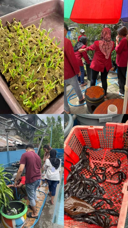 Sistem Budidaya Aquaponik Membantu Pengembangan Urban Farming di Kampung Lestari Kebonsari Malang oleh Mahasiswa PMM UMM
