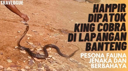 Atraksi King Cobra di Lapangan Banteng