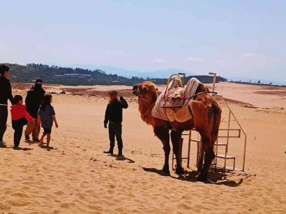 Tottori Sand Dunes: Gurun Pasir Tersembunyi di Jepang