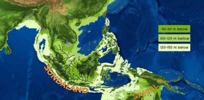 Sundaland: Pusat Keanekaragaman Hayati Tertinggi di Dunia dan Cikal Bakal Nusantara