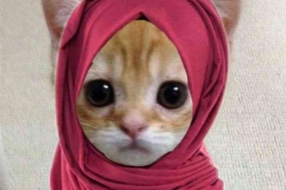 Tren Baru: PP Kucing Ramadan, Simbol Solidaritas Umat Islam