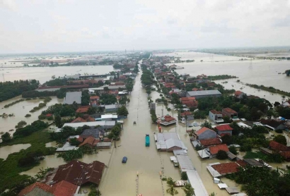 Pantura Disergap Banjir, Kutukan DAS dan Mangrove?