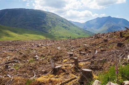 Memerangi Krisis Lingkungan: Pengertian Deforestasi dan Langkah-Langkah untuk Mencegahnya