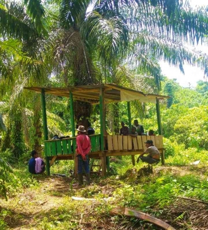 Konflik Lahan Sawit dan Kriminalisasi Petani di Kawasan Hutan Lindung Pasangkayu Sulawesi Barat Belum Temui Titik Terang