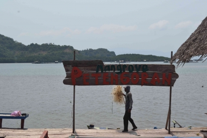 Pesona Hutan Mangrove Petengoran dan Pantai Dewi Mandapa yang Bersebelahan di Lampung
