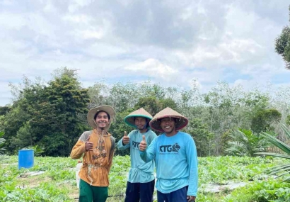 Pertanian Regeneratif: Solusi Pertanian Bagi Petani Sawit Swadaya di Kalimantan Barat