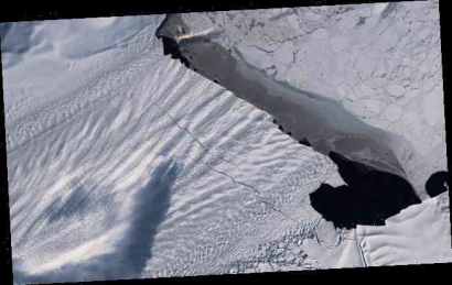 Mencairnya Es di Antartika: Urgensi Global demi Menjaga Masa Depan Dunia