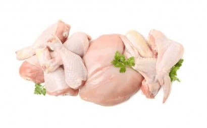 Memulai Bisnis Jualan Ayam Potong