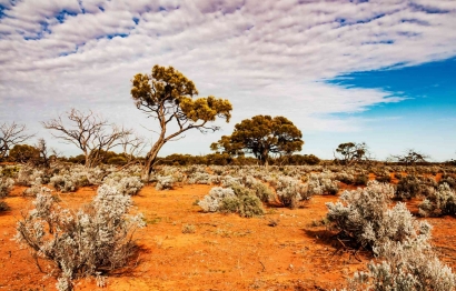 Tanah Australia Akan Jadi Penghasil Karbon Dioksida, Imbas Perubahan Iklim