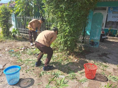 Program Kota Padang dan Kota lain yang Sukses dalam Pengelolaan Sampah