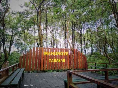 Hutan Wisata: Pesona Hutan Mangrove