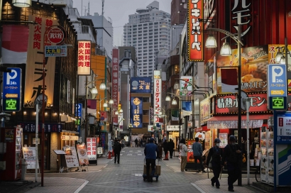 Bakonka dan Mikonka, Sumber Masalah Populasi Jepang Menurun
