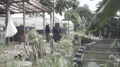 Urban Farming, Solusi Permasalahan Kualitas dan Ketahanan Pangan Bagi Warga Medokan Ayu, Surabaya