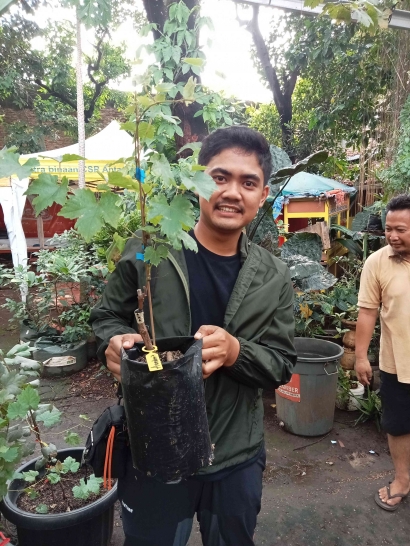 Anggur dan Program Kampung Iklim di RW 03 Jatinegara Kaum