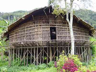 Mulai Terlupakan! Rumah Adat Kaki Seribu Suku Arfak Papua Barat