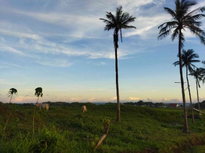 Keindahan Baru di Sukabumi: Sunset Pantai Pandan Ujung Genteng