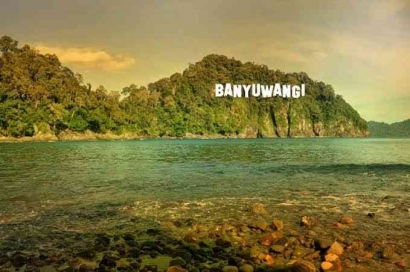 Keberhasilan Implementasi Otonomi Daerah di Kabupaten Banyuwangi Jawa Timur