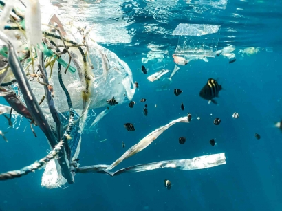 Menuju Laut Bersih: Langkah-Langkah Sederhana Mengurangi Sampah Plastik