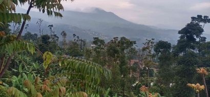 Menikmati Panorama Hijau di Cimenyan Bandung Jawa Barat