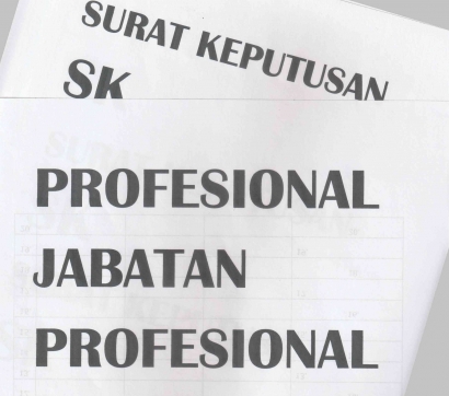 SK Ingus, Profesional dalam Jabatan