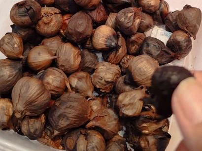 Black Garlic, Si Manis Asam dengan Segudang Manfaat Kesehatan