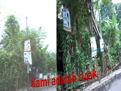 Jelang Pileg Poster Caleg bagai Cicak di Pohon dan Tiang-tiang