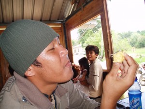 Berburu Durian Murah dan Nikmat di Pulau Nias