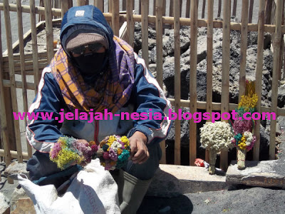 Penjual Bunga Edelweis di Gunung Bromo