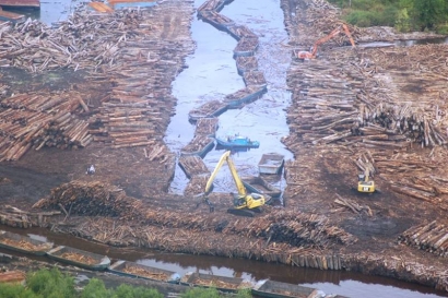 Pembangunan Pabrik PT. OKI Pulp and Paper Mills ; Ancaman bagi Hutan Indonesia dan keselamatan Rakyat