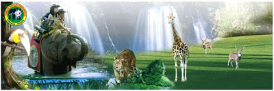 Liburan Asik ke Taman Safari