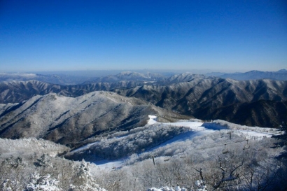 Keindahan Bunga Salju di Gunung Deokyu, Korea Selatan
