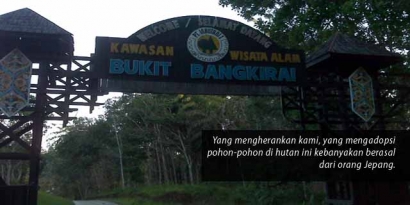 Trekking di Bukit Bangkirai, Ada Pohon Diadopsi
