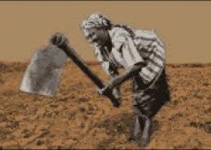 Review Buku: "Masalah Agraria dan Kemakmuran Rakyat Indonesia"