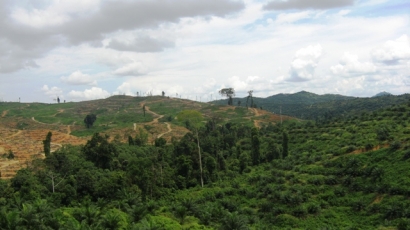 Masalah Lingkungan Indonesia: Wicked Policy Dilemmas?