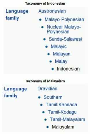 The Origin of Words: Between Malayalam and Bahasa Indonesia