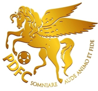 Pro Duta FC, Klub Amatir yang Menjelma Menjadi Klub Profesional Raksasa