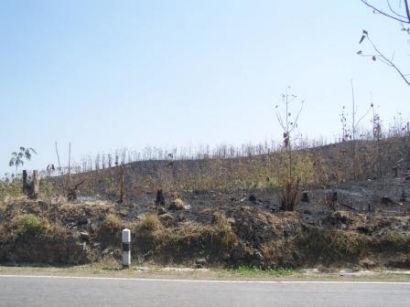 Hutan Jati di Jalur Mudik Sumedang Terbakar