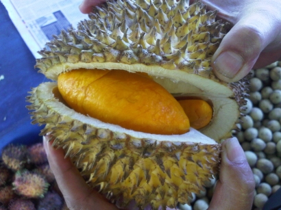 Lai, Durian dengan Aroma Lebih Ramah