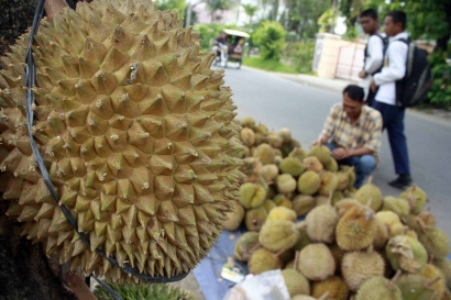 Durian Bergaransi