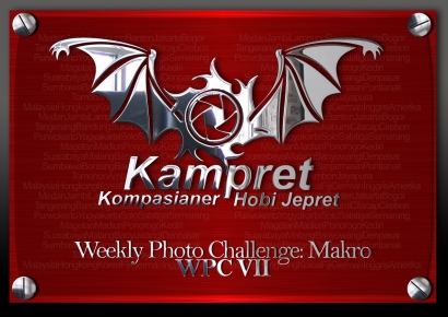Weekly Photo Challenge: Macro Photography