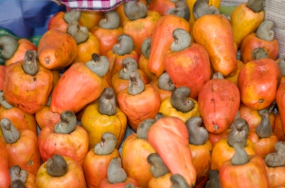 Tropical Fruit in Indonesia, A Tourist Magnet