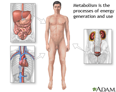 9 Hal Bikin Metabolisme Melambat