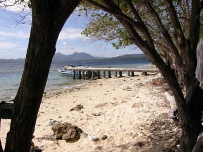 [WPC-13] Mengintip Pesona Bawah Laut Pulau Menjangan