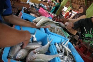 Konsumsi Ikan, Antara Potensi dan Mitos